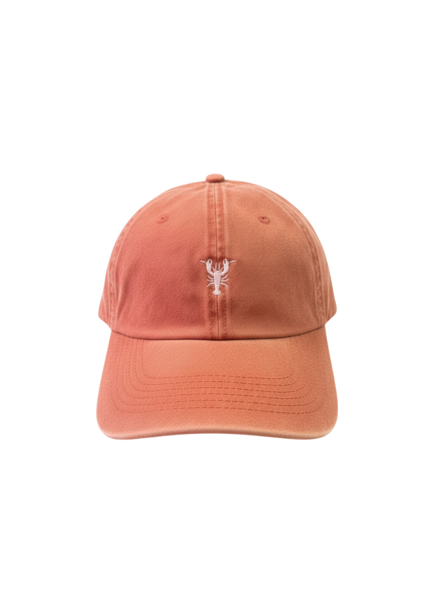 Gorra Ladrillo