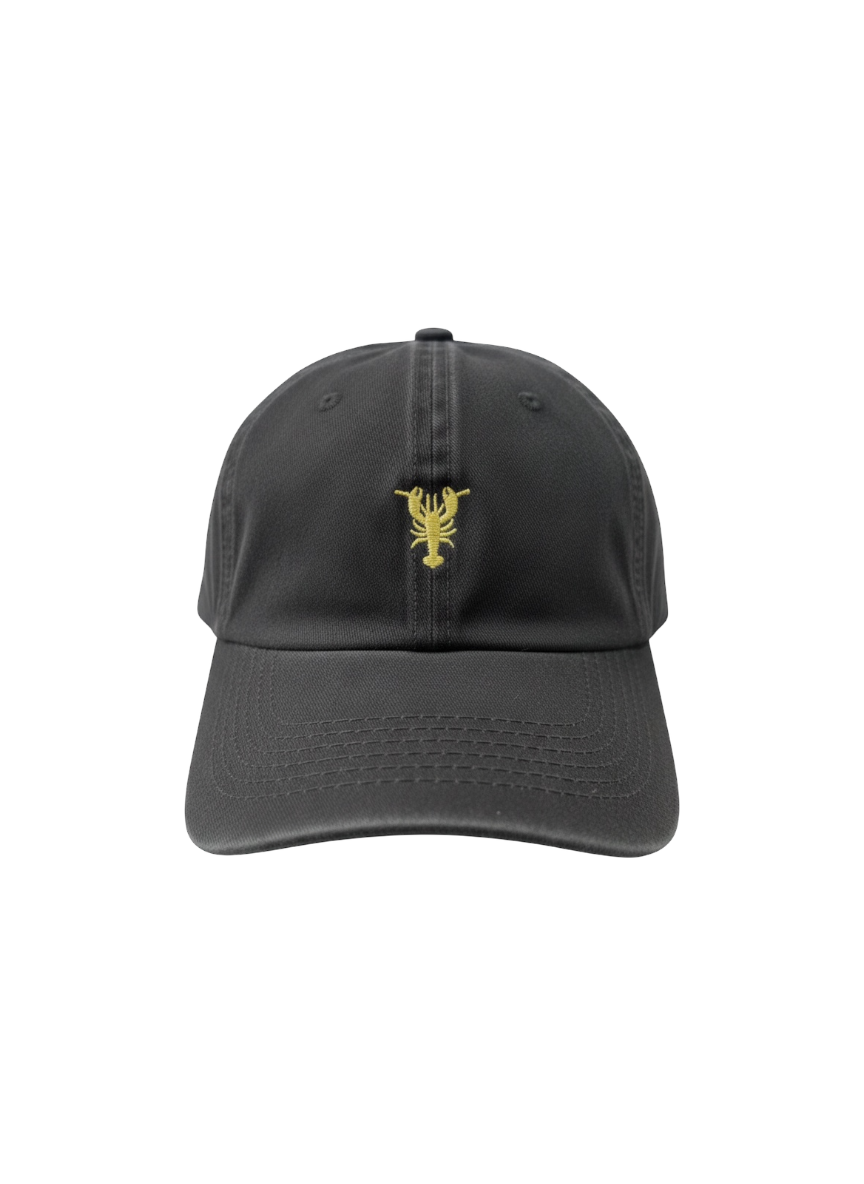 Gorra Gris