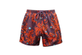 Short Barriera